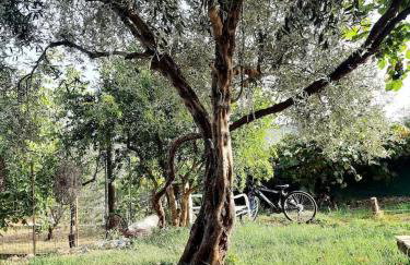 Σπίτι στον κήπο - Photo 14