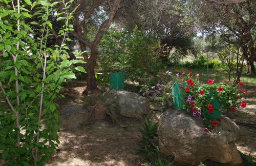 Gerolakos Country Houses - Photo 19