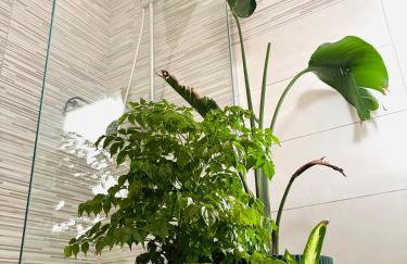 Az. Agricola Agriturismo Lo Schiucciolo - Photo 3