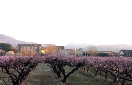 Casa Vacanze Principesca - Foto 39