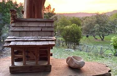 Modern Cabin with Hill Country Views - Foto 10
