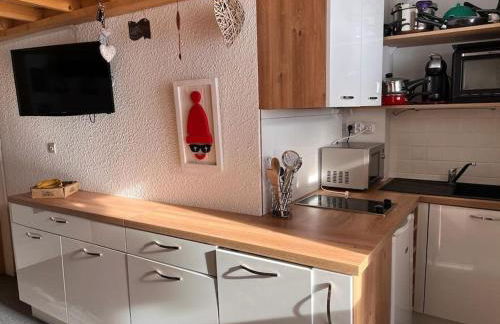 Front de neige PLAGNE VILLAGES Duplex 6 pers 2 ch ski aux pieds exposé SUD 2050 m - Foto 22