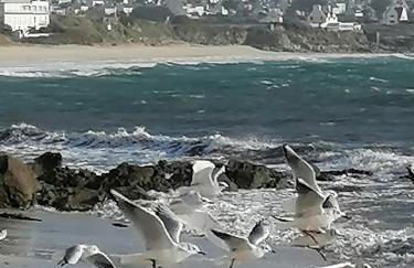 Villa "Keryoc'h" - Foto 45