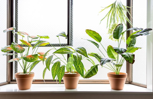 Comfy Stay Sakuramachi - Foto 26