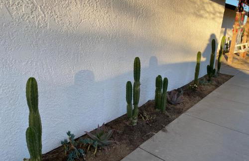 Electroliquid's Casa Pueblo Joshua Tree - Foto 45