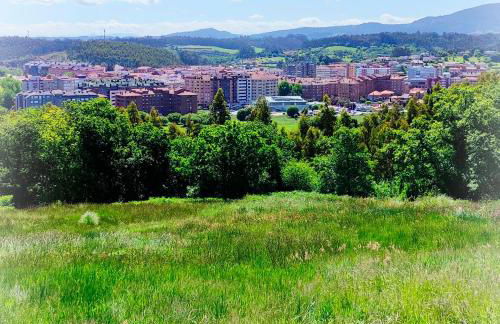 PIEDRAS DE ASTURIAS - Foto 28