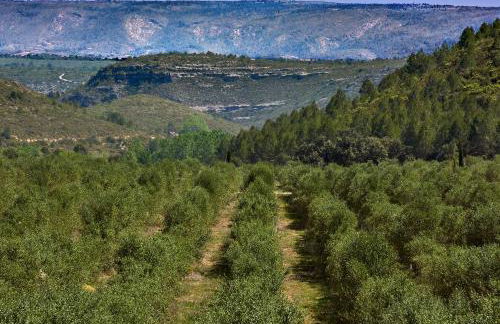 Masia Heredad La Boquilla - Foto 116