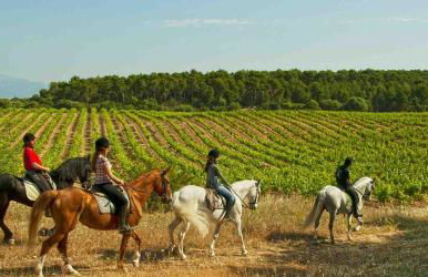 Finca Agroturismo Sa Cova den Borino - Foto 132