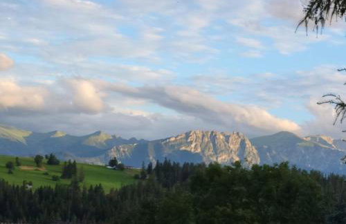 Dom Tatrzański Widok - Foto 40