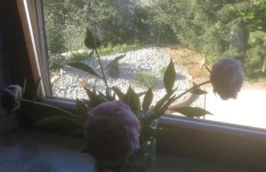 FeWo Algenrodt - Foto 11