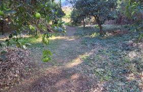 Finca el Agua da Vida (Los Eucaliptos & Los Olivos) - Foto 15