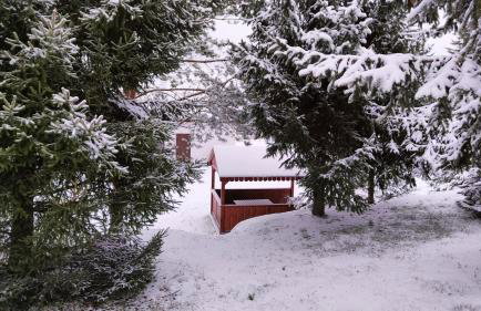 Biały Domek Nielbark - Agroturystyka - Foto 7