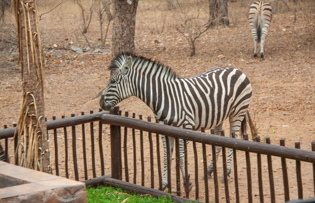 Lovely Holiday Home Bordering Kruger National Park - Foto 30