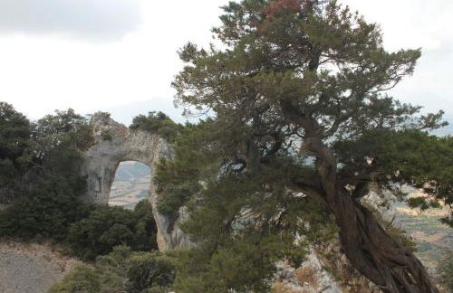 Auberge Santu Martine: cottage with pool (Vinza) - Foto 59