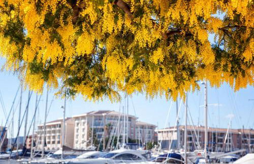 Superbe T2 4 étoiles climatisé Favière refait à neuf - Foto 14