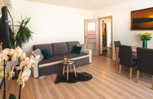 Apartament Panorama - Foto 8