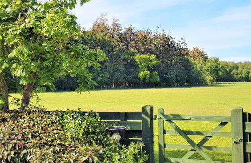 Trebor Cottage - Foto 19