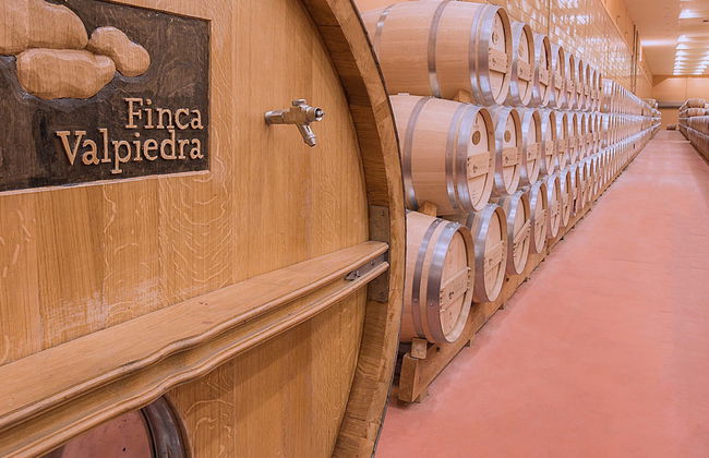 Visita a la finca Valpiedra - Foto 1