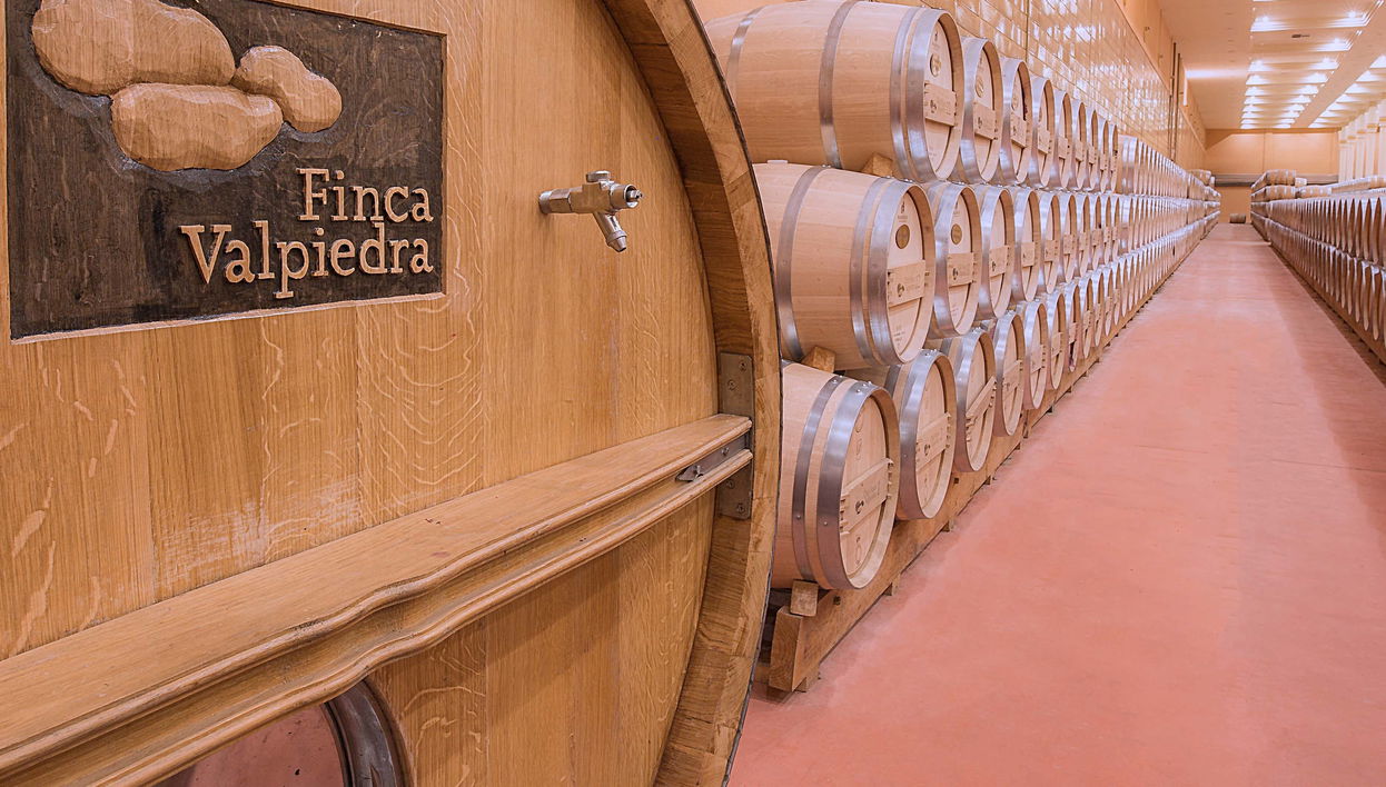 Finca Valpiedra Tour - Foto 1