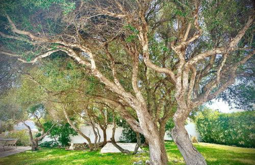 Starbal Apt - Foto 36