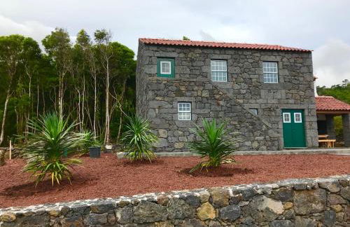 Adega da Prainha - Photo 28