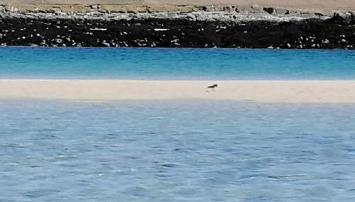 The Fisherman's Snug self catering North Uist - Foto 5