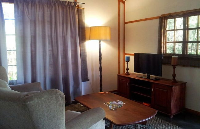 Woodland Gardens - Photo 34