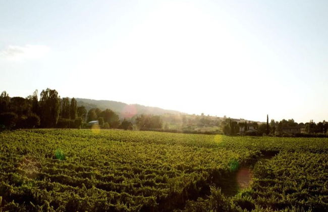 Villa in Cannara With Pool Near Assisi - Foto 39
