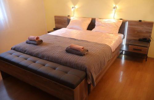 Dalmatian - Photo 51