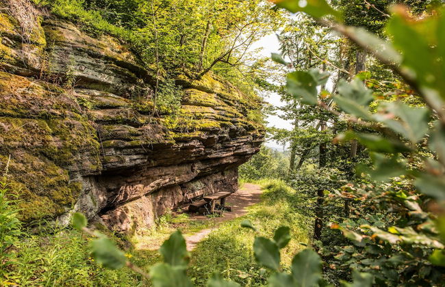 Ferienhaus Lichtung - Photo 71