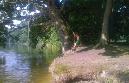 Ferienhaus Zauneidechse im Sternenpark - Foto 13