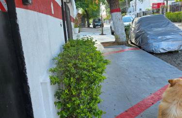 Studio Luxo decorado total Ar condicionado - Foto 58