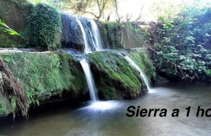 Casa dalia - Foto 30