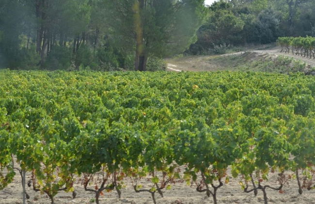 Villa de la Desirade - Foto 14