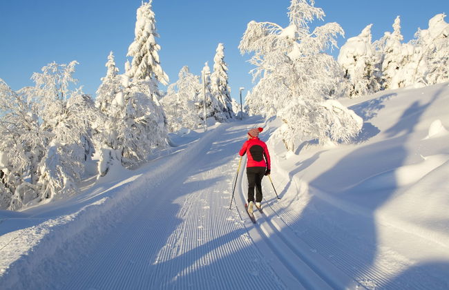 Ammatour Villas - Photo 77