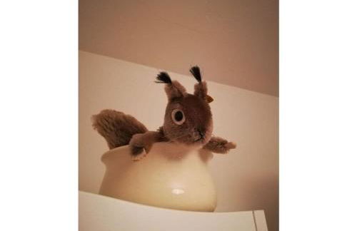 Kobel Comfortable holiday residence - Photo 12