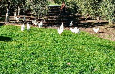 La Casa del Flamenco - Foto 47
