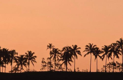 Prédio em Barra Grande - Maragogi - Foto 8