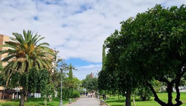 Salusahome parking gratuito - Foto 5