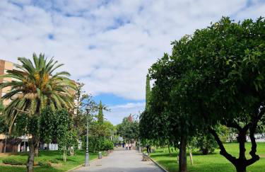 Salusahome parking gratuito - Foto 5