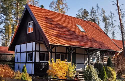 DWIE DAMY Na Gwizdówce 8 - Foto 1