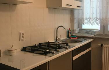 Apartament Parkowy - Foto 10