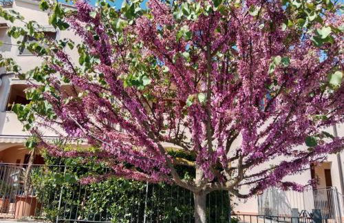 Via della musica - Foto 1