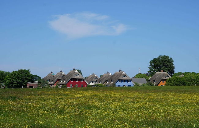 Spacious Apartment in Wieck auf dem Darb - Photo 30