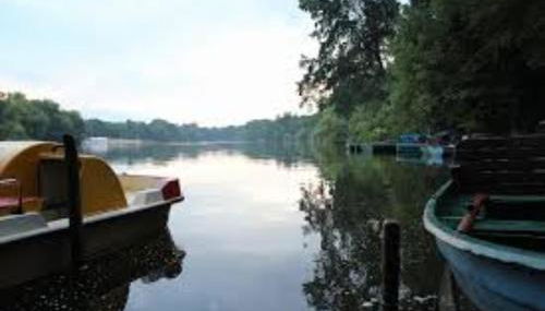 Cosy flat in trendy Sprengelkiez (legal) - Foto 3