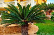 Villa Michelle - Foto 75