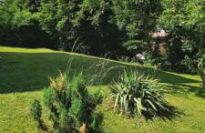 House Anita - Foto 54