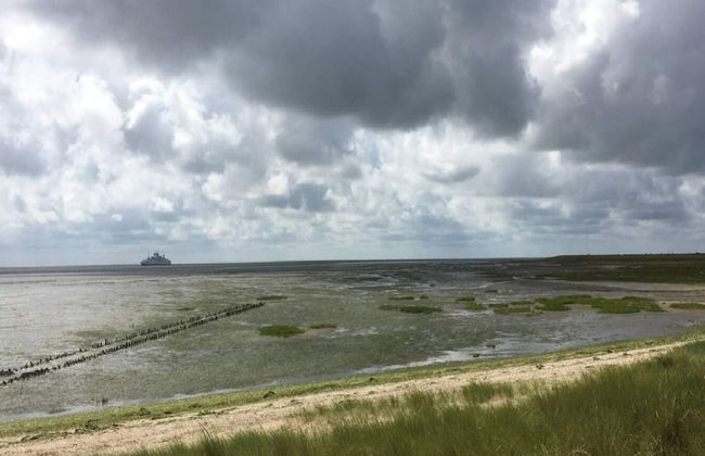 4 Person Holiday Home in Skaerbaek - Foto 37