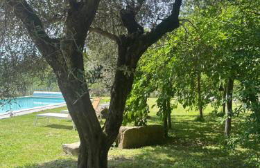 Collina di Sopra - Foto 4