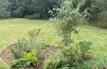 Seabrook Holme-next-the-sea - Foto 18